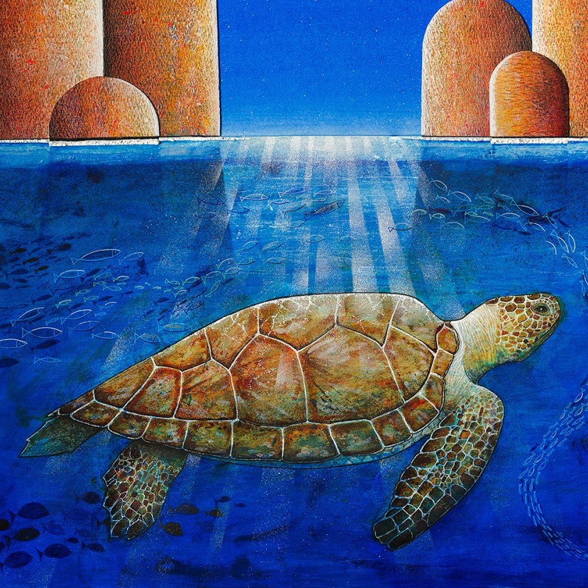 Fine Art Print, Turtle, Paolo Lazzerini, Arteviae