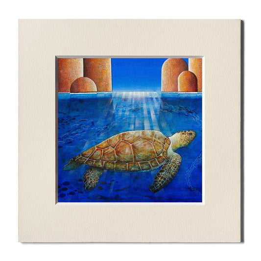 Fine Art Print, Turtle, Paolo Lazzerini, Arteviae