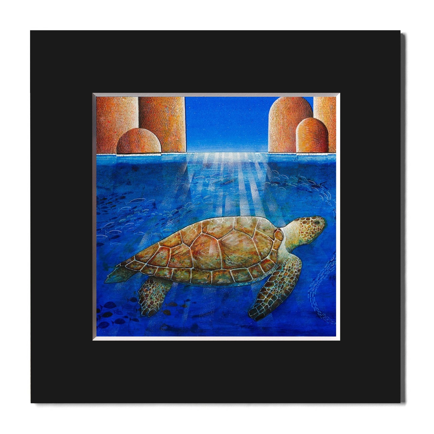 Fine Art Print, Turtle, Paolo Lazzerini, Arteviae