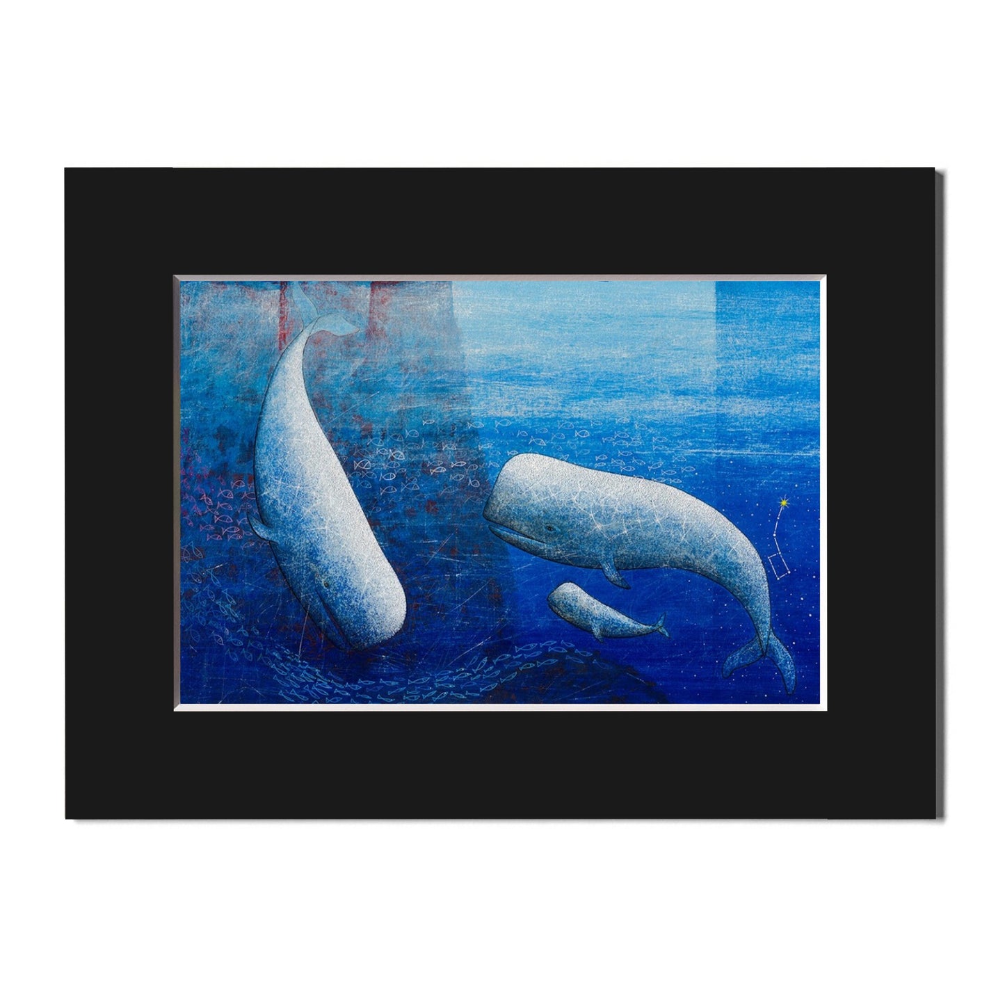 Fine Art Print, Whales, Family, Paolo Lazzerini, Arteviae